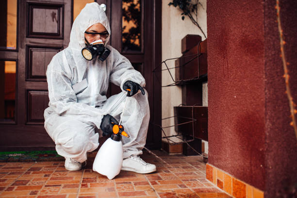 Attic and Crawl Space Rodent Treatment in Menasha