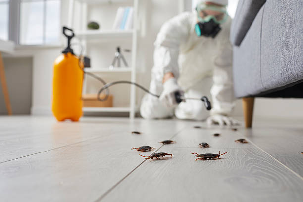 Commercial Rodent Management in Menasha